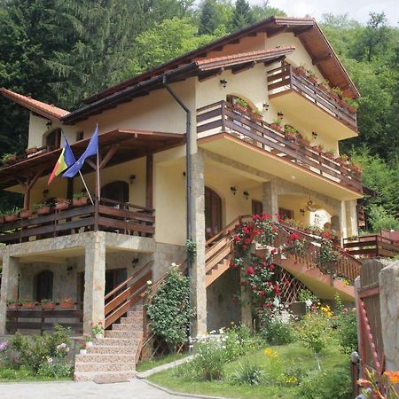 Casa Anca Boutique Hotel Timișu de Jos Extérieur photo