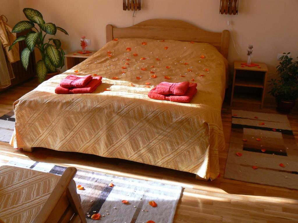 Casa Anca Boutique Hotel Timișu de Jos Chambre photo