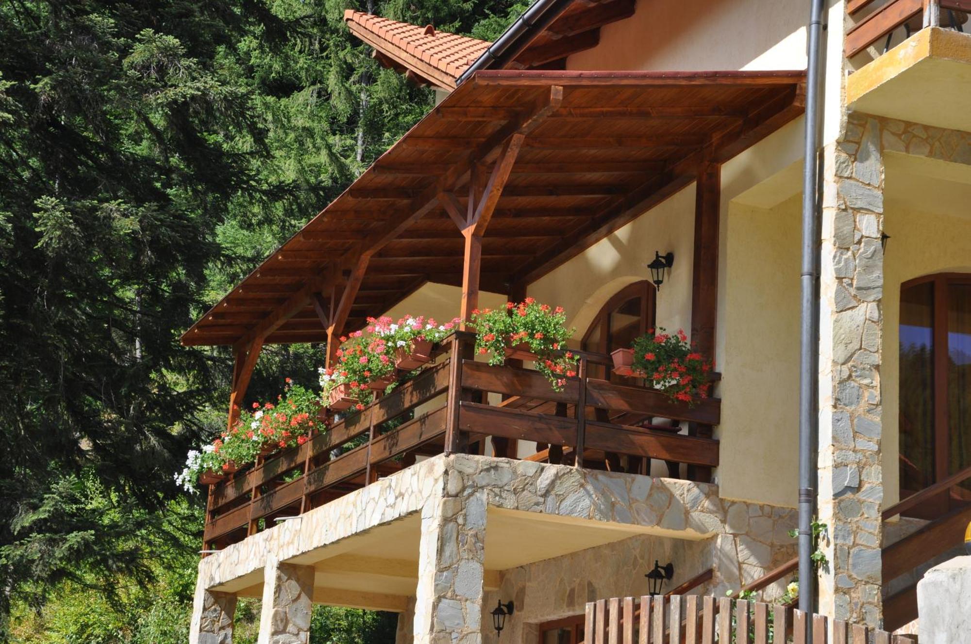 Casa Anca Boutique Hotel Timișu de Jos Extérieur photo