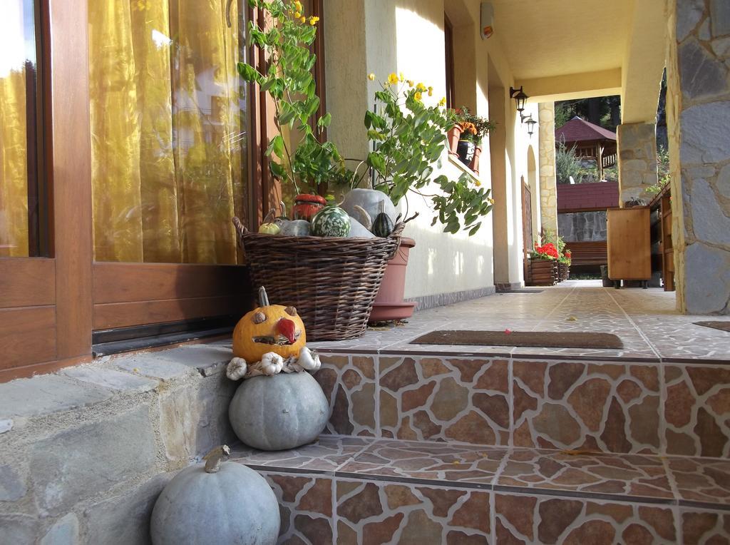 Casa Anca Boutique Hotel Timișu de Jos Extérieur photo