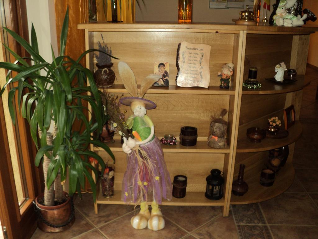Casa Anca Boutique Hotel Timișu de Jos Extérieur photo