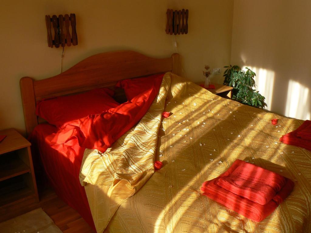 Casa Anca Boutique Hotel Timișu de Jos Extérieur photo